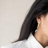 Crystal Drop Earrings